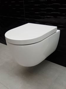 Toiletpotten