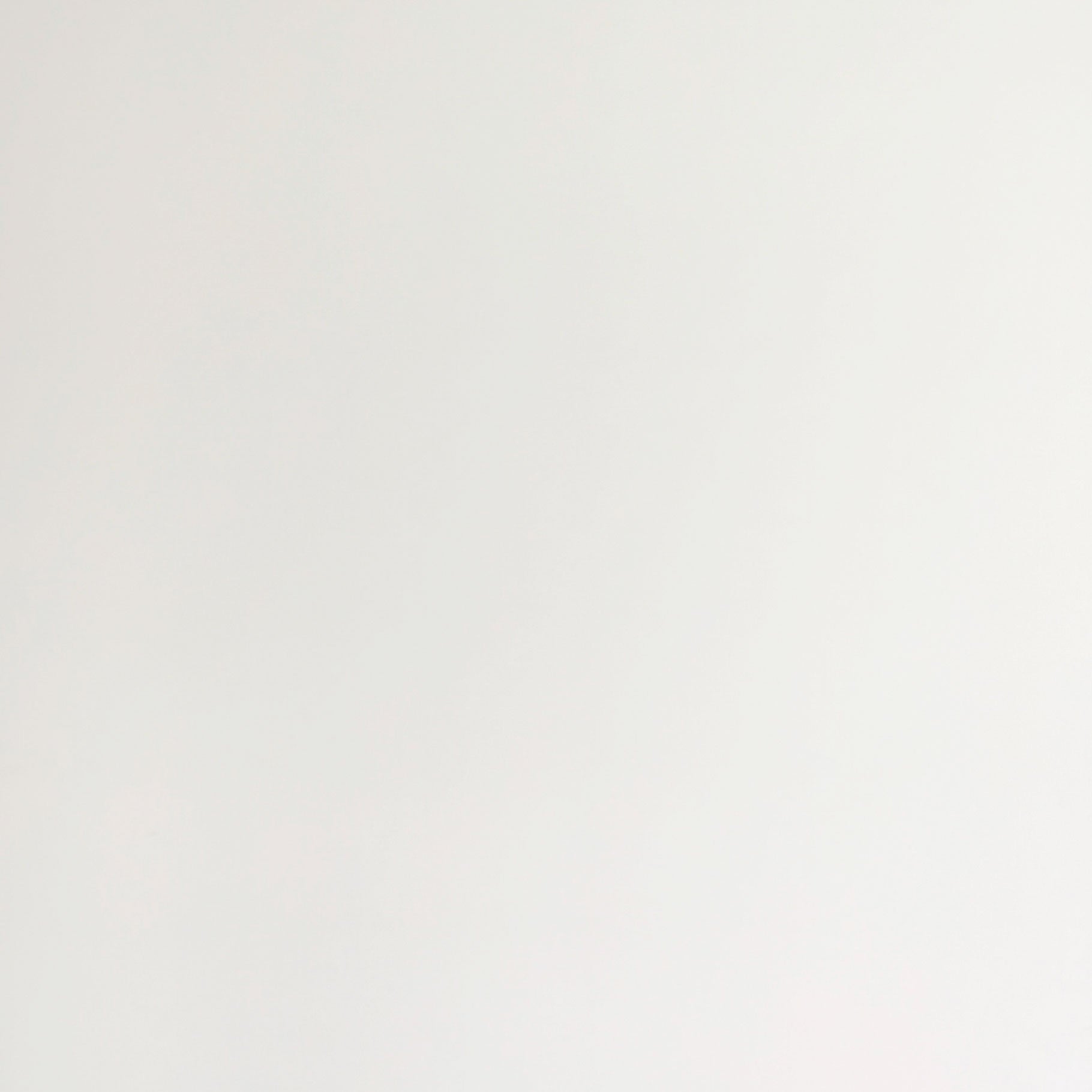 Eastbrook PVC Wandpaneel Satin 100x240 cm Wit