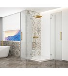 Trinity Mat Goud Douchecabine Hoekinstap Mat Glas 120 X 110 Cm