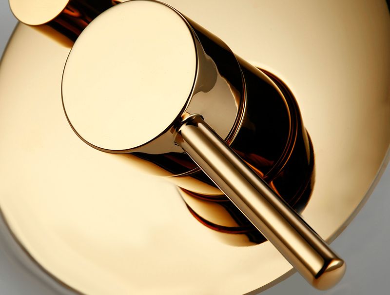 Rea Lungo Box inbouw doucheset Glans Goud detailfoto