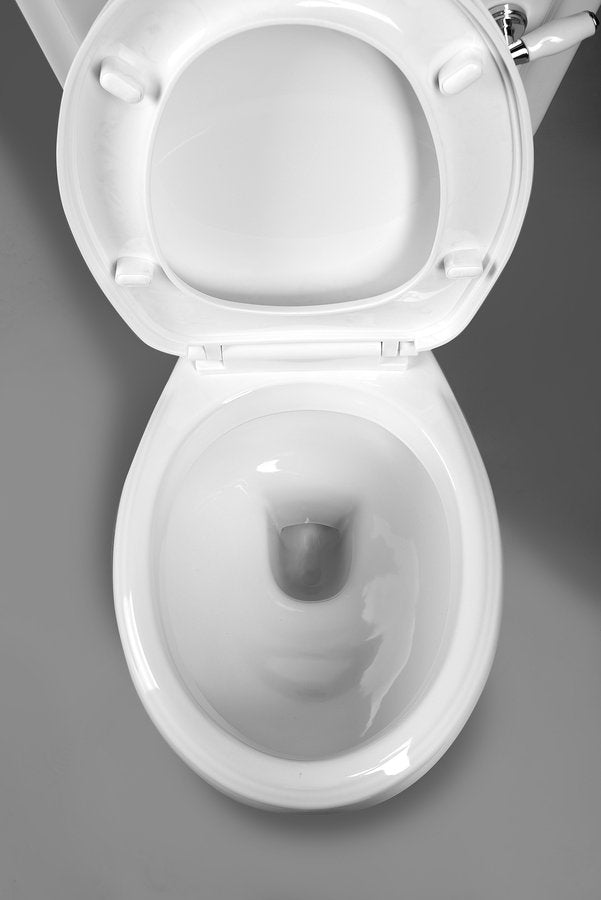 Aqualine Antik Retro Duoblok Staand Toilet Met Zitting PK Aansluiting