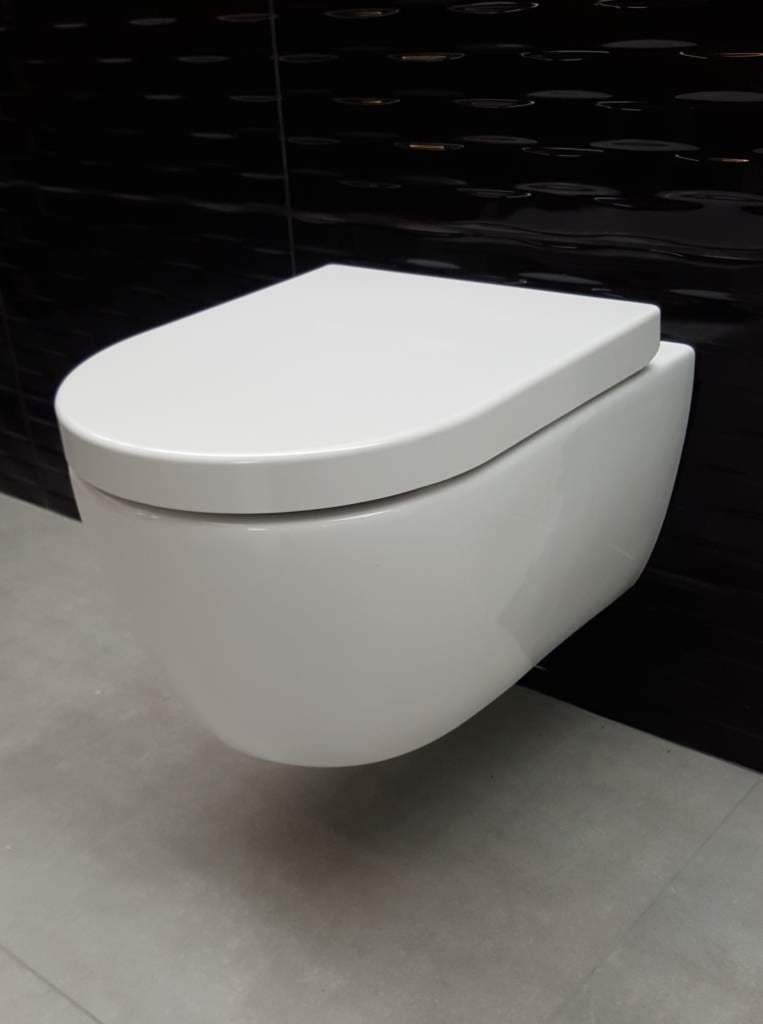 Rimfree Toilet 49Cm Luzi Easy Flush Compact