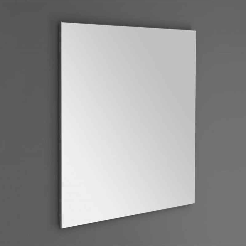 Standaard spiegel 58x80x2,5