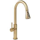 Keukenkraan Rea Nest Gold Brush