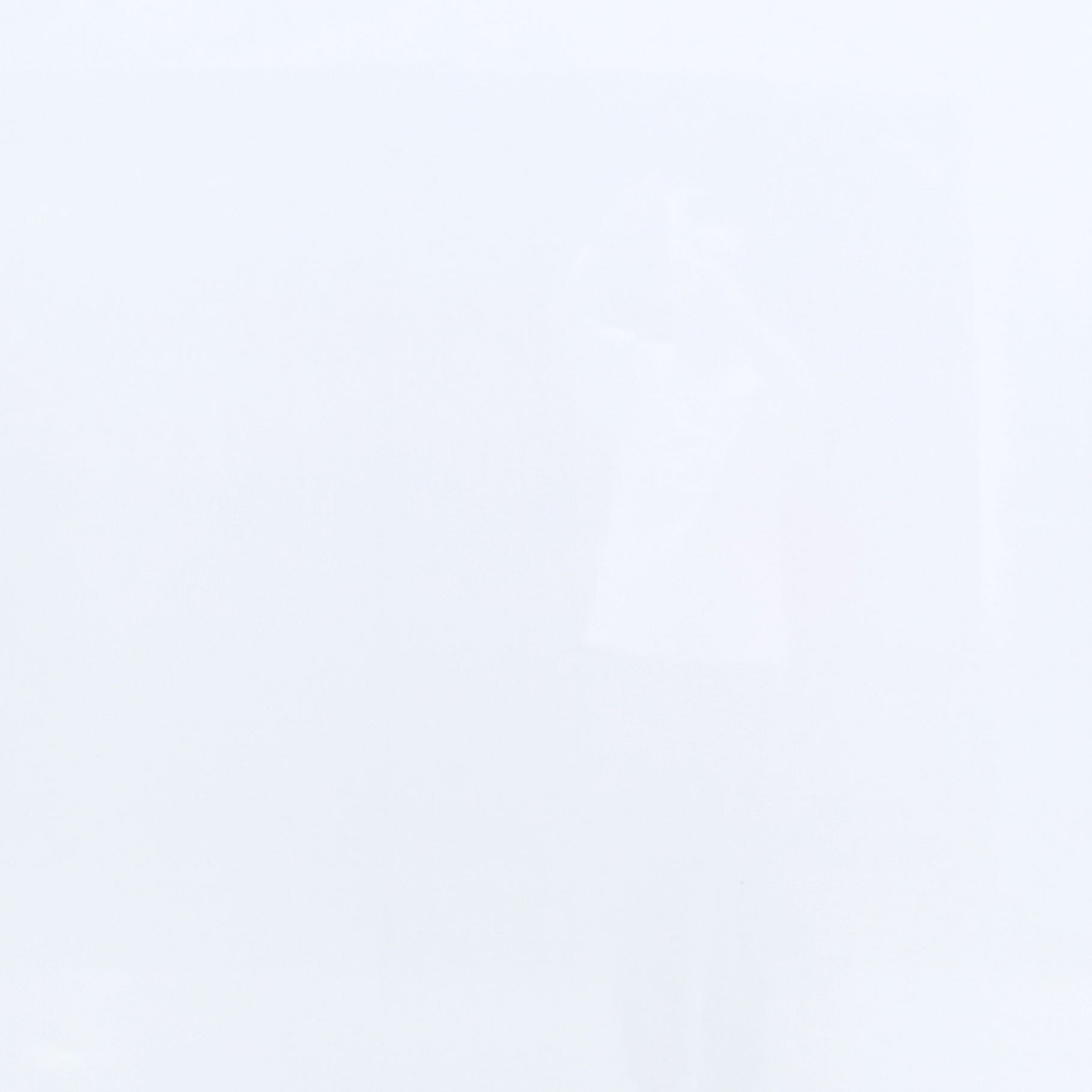 Eastbrook PVC Wandpaneel Breedpaneel 100x240 cm Glans Wit
