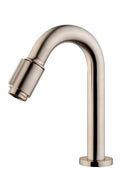 Caral Victoria fonteinkraan 1/2'' geborsteld staal PVD