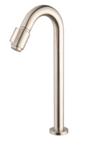 Caral Victoria fonteinkraan XL 1/2'' geborsteld staal PVD