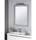 Sapho Nirox Spiegel 60x5x80 Cm Zilver Eiken