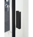 Polysan Zoom Line Black Douchedeur Met Vaste Wand 100 cm Helder Glas Mat Zwart