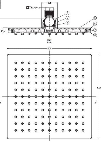 Rara hoofd-regendouche 200x200 mm