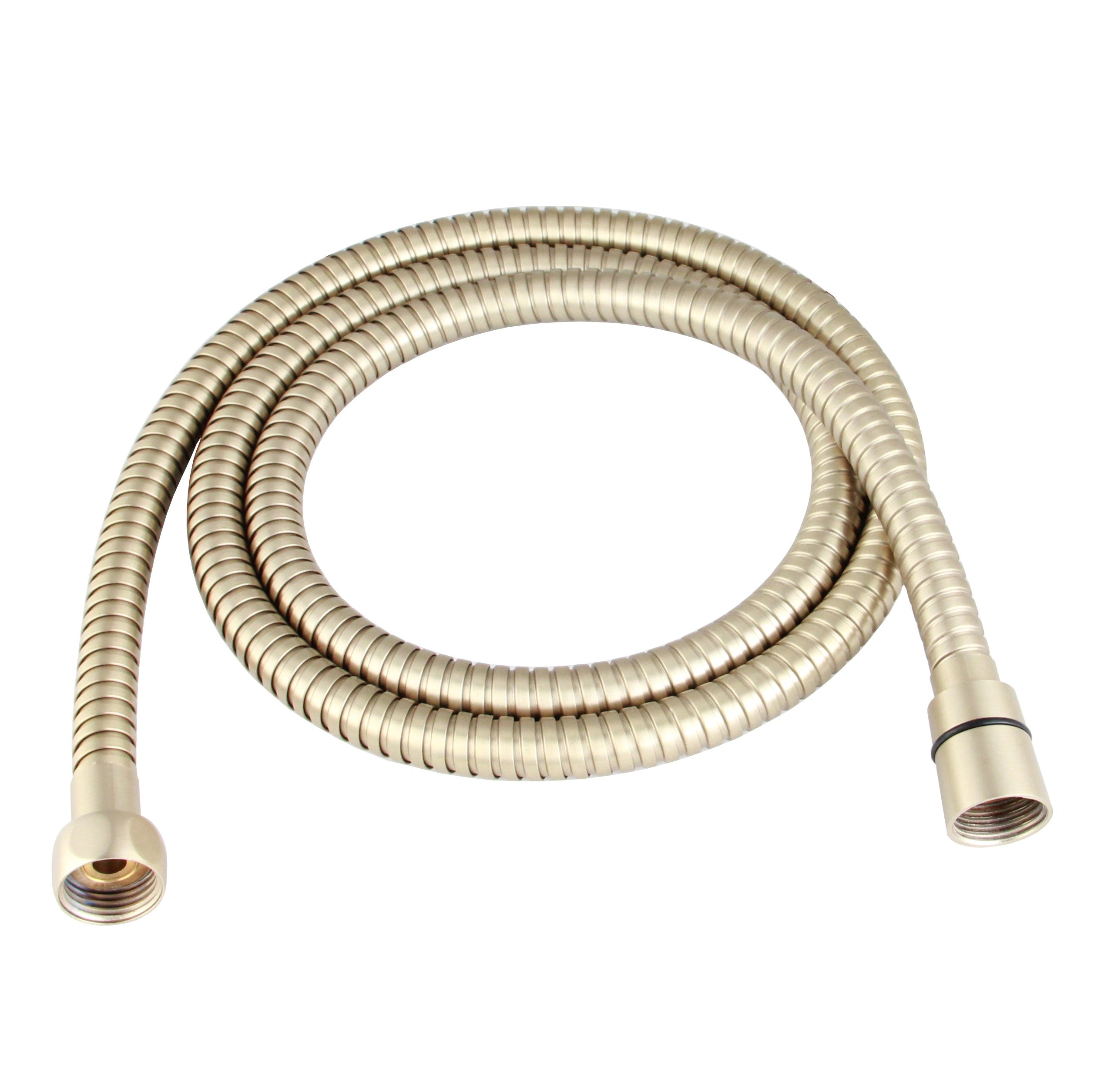 Nancy Doucheslang Mat Goud