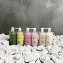 Doos Ã  12 stuks handzeep en handlotion (3 assorti)