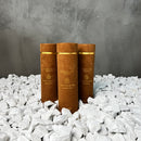 Doos Ã  12 stuks geurstokjes 200ml (3 assorti)