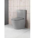 Paco Staand Toiletpot Rimless 38,0x61,0 cm Keramiek Grijs