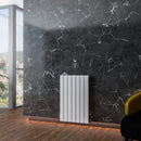 Eastbrook Addington Aluminium Radiator 800 x 514 mm Type 10 - Glans Wit