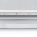 LED wandspiegel 80x60cm P10407 - View 9