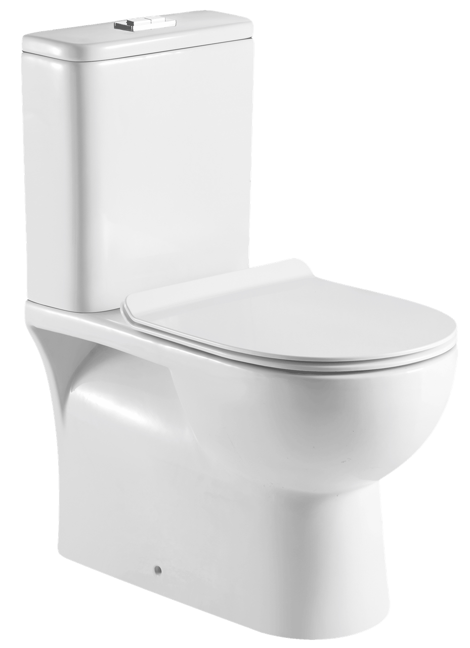 Duoblok Sanotechnik Mono Rimfree Spoelrandloos