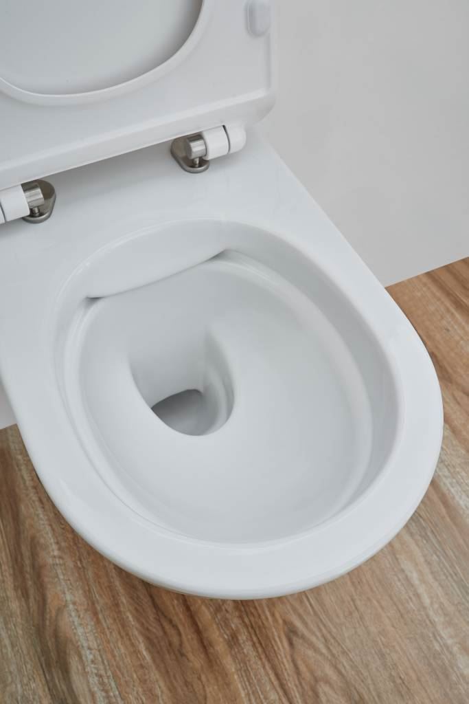 Rimfree Toilet 54Cm Luzi Easy Flush + Slim Zitting