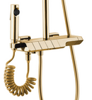 Opbouw doucheset goud / mat zwart met planchet Rea Rob