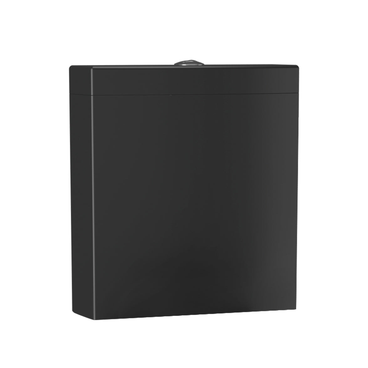 Staand Toilet Duoblok Lara Mat Zwart Incl. Softclose Toiletbril
