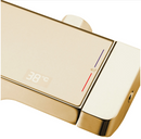 Opbouw doucheset goud / mat zwart met planchet Rea Rob