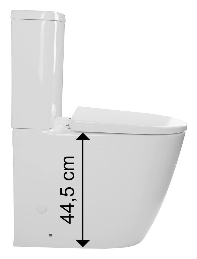 Verhoogd Duoblok Rimless Met Reservoir Incl. Softclose Zitting Sapho Turku