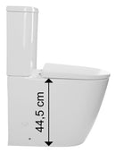 Verhoogd Duoblok rimless met reservoir incl. softclose zitting Sapho Turku