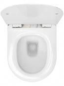 Rimless toilet Rea Carlos met softclose zitting glans graniet